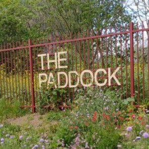 volunteer with TCV at the Paddock