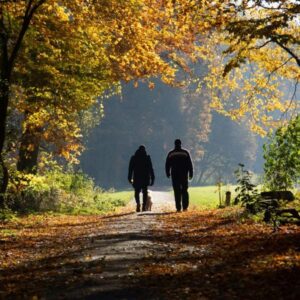 Wellbeing Walks, Tottenham Marshes