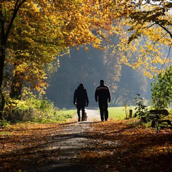 Wellbeing Walks, Tottenham Marshes